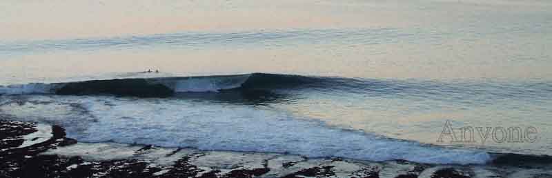 SX Bodyboard